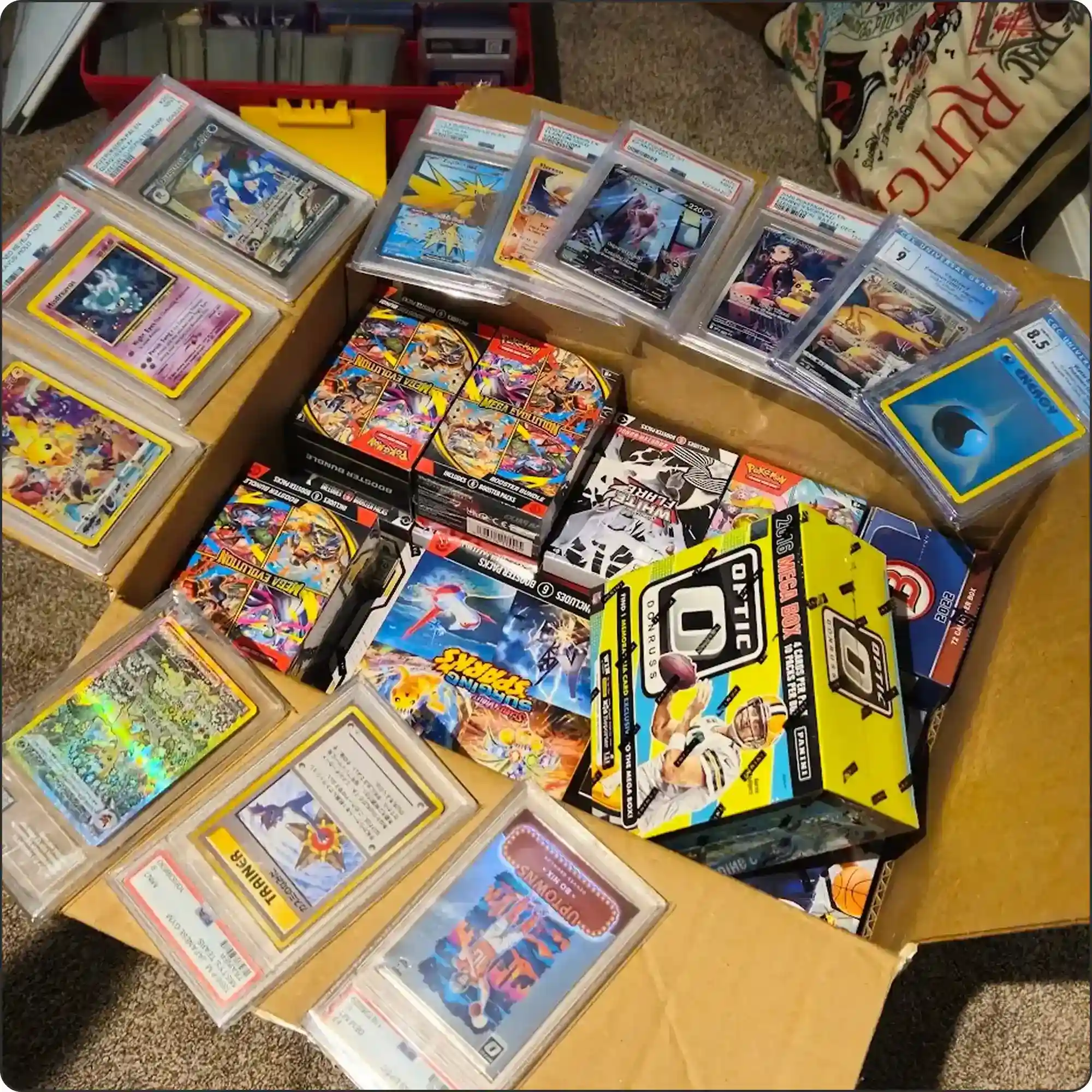 Beezie collector photo